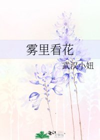 雾里看花